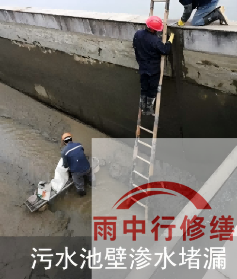 青浦2026年防水龙头半月两次涨价，行业格局重塑信号