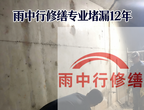 青浦某商场电梯井堵漏案例