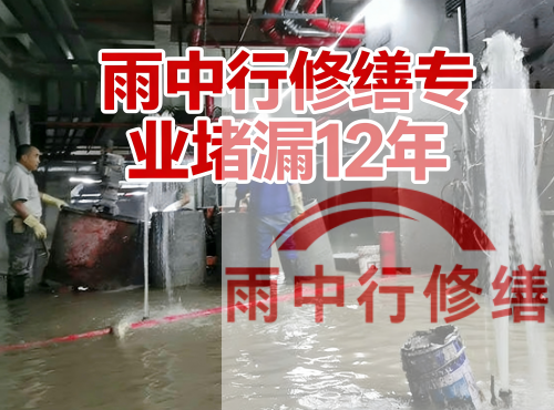 青浦中国五矿某大型污水处理厂堵漏案例